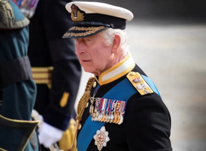 King Charles Plans To Sideline Prince Harry, Andrew As Royal Stand-Ins: Report