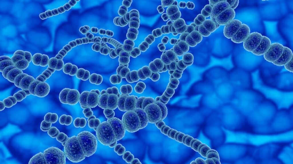 'Brain-eating amoeba' kills South Korean man within 11 day of returning from Thailand. Details here