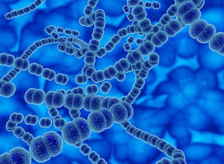 'Brain-eating amoeba' kills South Korean man within 11 day of returning from Thailand. Details here