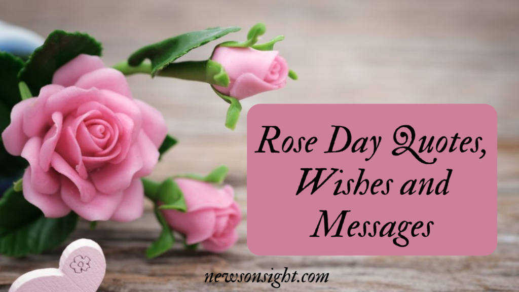 Rose Day Quotes, Wishes and Messages