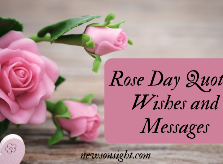 Rose Day Quotes, Wishes and Messages