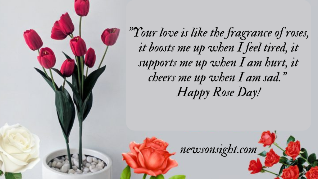 Rose Day Quotes, Wishes and Messages