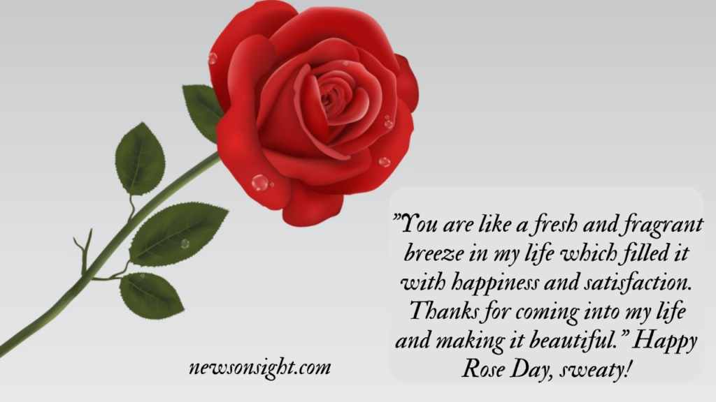 Rose Day Quotes, Wishes and Messages