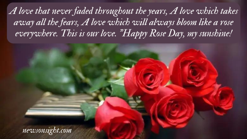 Rose Day Quotes, Wishes and Messages