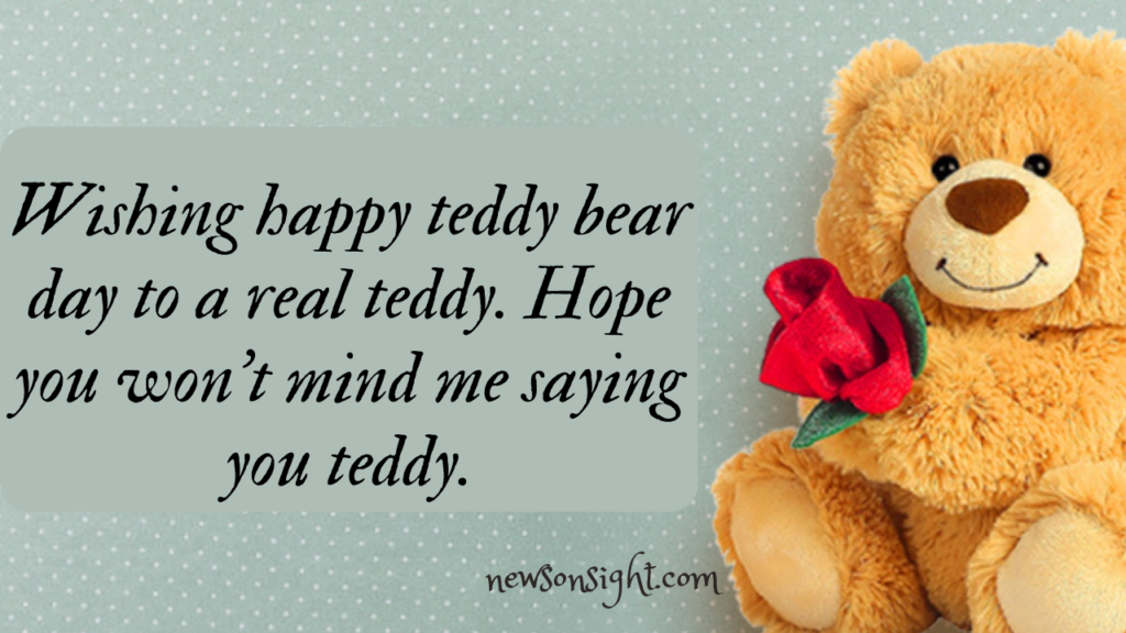 Happy Teddy Day 2023: Best wishes, Quotes  and Messages